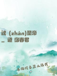 魂戰(zhàn)圣帝
